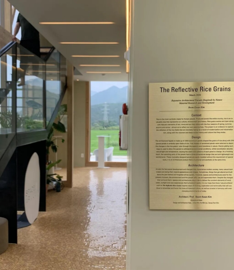 아리주진 (1)