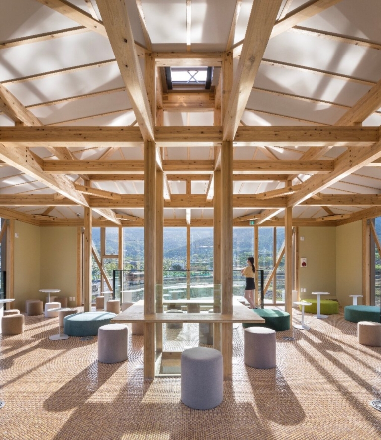 아리주진 (2)